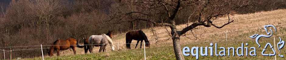 equilandia